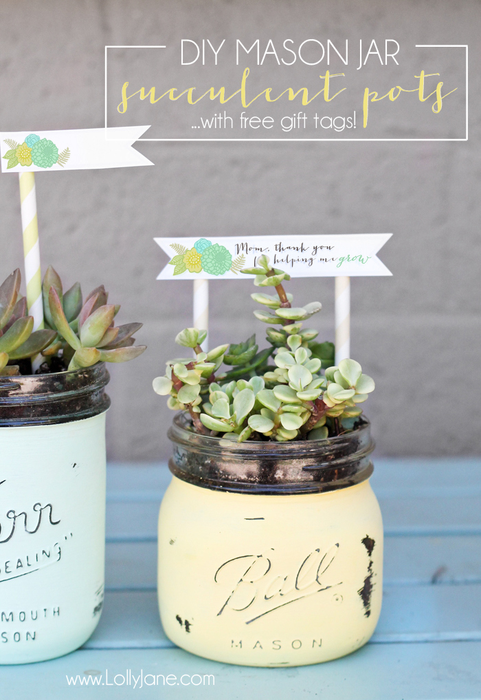 PERFECT Mother's Day or Teacher Appreciation gifts!