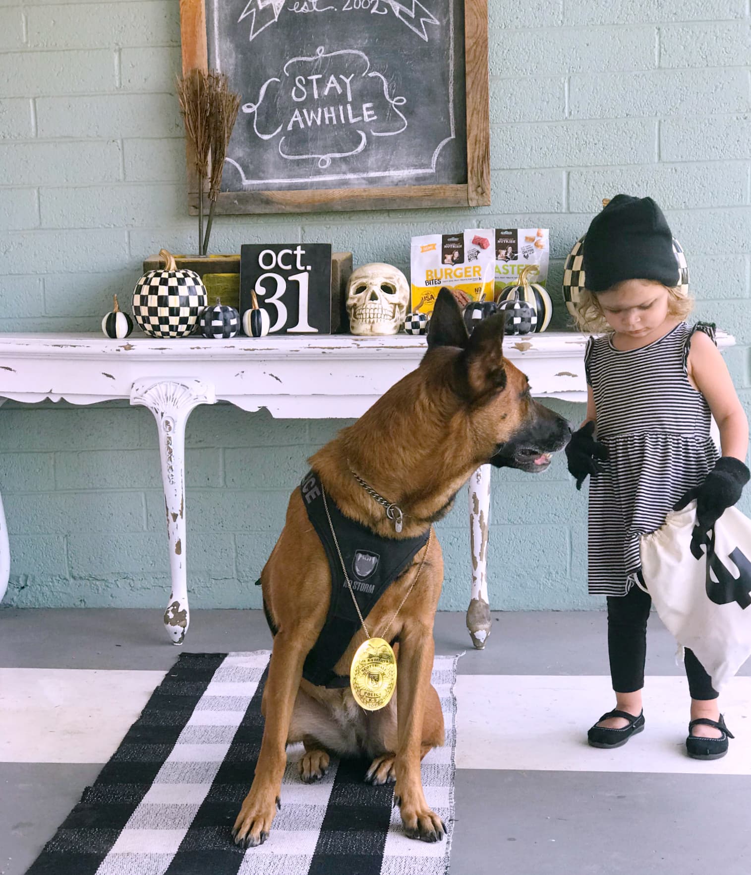 Cute and Easy Halloween Ideas for You and Your Pet! FUN! #halloween #halloweencostumes #pethalloweencostumes #halloweenpetcostumes #costumes #couplescostumes