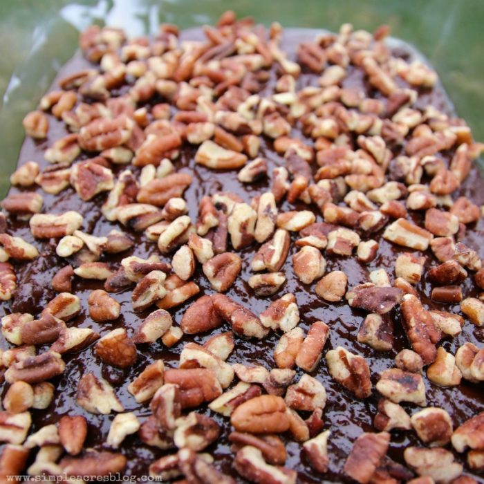 The best homemade fudge brownie. Love these fudge brownies, yum! The caramel pecan brownie toppings are so yummy on these easy fudge brownies!