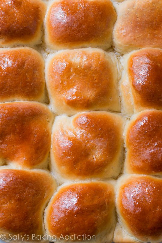 Soft, fluffy, tried & true honey butter dinner rolls recipe on sallysbakingaddiction.com-- step by step photos included!