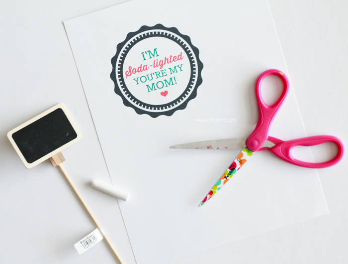 Supplies to make a cute Dirty Diet Coke basket, perfect for Mother's Day! INCLUDES FREE printable tag "I'm Soda-Lighted You're My Mom!"